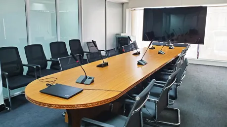 2.4G Wireless Microphone System for TPDC in Tanzania | D6801 - 翻译中...